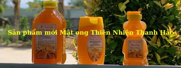Sản phẩm bc1589c02b77f229ab66 8299 — Ong Mật Thanh Hảo - Công Ty TNHH Ong Mật Thanh Hảo — MST 3700838265