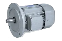Sản phẩm bx1 5493 — Công Ty TNHH Bonfiglioli Vietnam — MST 3700864723