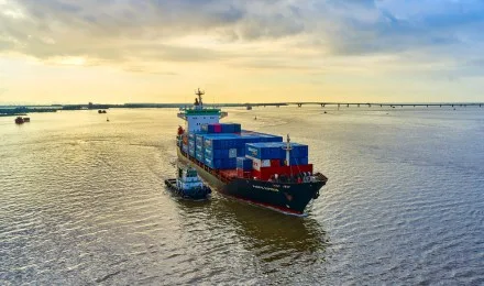 Sản phẩm 15 — Công Ty TNHH MTV Tiếp Vận Gemadept — MST 3700882169
