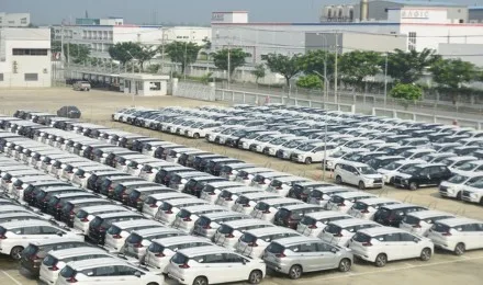 Sản phẩm 17 — Công Ty TNHH MTV Tiếp Vận Gemadept — MST 3700882169