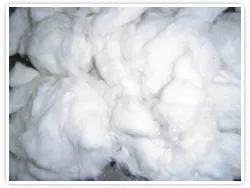 Sản phẩm cotton noil1 — Công Ty TNHH Kyungbang Việt Nam — MST 3700907021