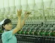 Sản phẩm Slide 2 2xwmjdfxispmjbvwz2d9mo — Công Ty TNHH Kyungbang Việt Nam — MST 3700907021
