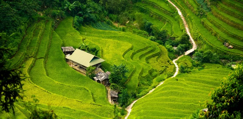 Sản phẩm ruong bac thang 3357 — Công Ty TNHH Một Thành Viên Châu Hoa Việt — MST 3700940597