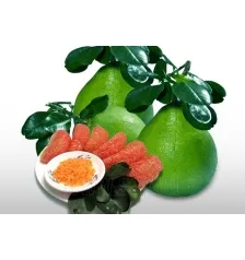 Sản phẩm buoidaxanhbentre64kb 6466_224x154.88 — Hương Liệu Lê Hương SHIONO, Lê Hương WEITEH, Lê Hương Jofont, Lê Hương HJ-RISE,
Lê Hương Treasure Chemical - Công Ty Cổ Phần Thương Mại Lê Hương — MST 3700947183