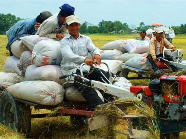 Sản phẩm lai may cay cung phai co bang 442c5835 — Công Ty TNHH Một Thành Viên Cơ Khí Núi Thành — MST 3700948003