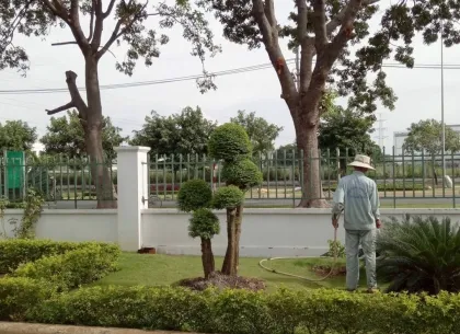 Sản phẩm bao duong 3320 — Công Ty TNHH Minh Hân — MST 3701193394