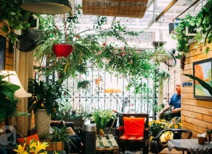 Sản phẩm cay canh cafe 2 3125 — Công Ty TNHH Minh Hân — MST 3701193394