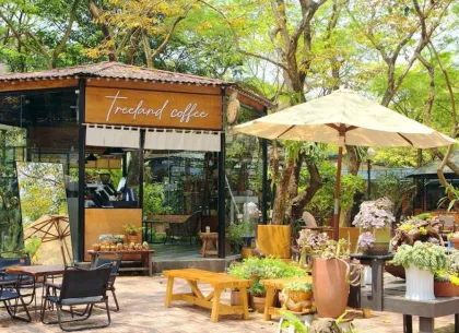 Sản phẩm cay quan cafe 1827 — Công Ty TNHH Minh Hân — MST 3701193394