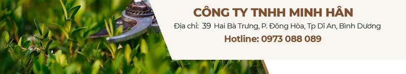 Sản phẩm hinhf 1584 85260 — Công Ty TNHH Minh Hân — MST 3701193394