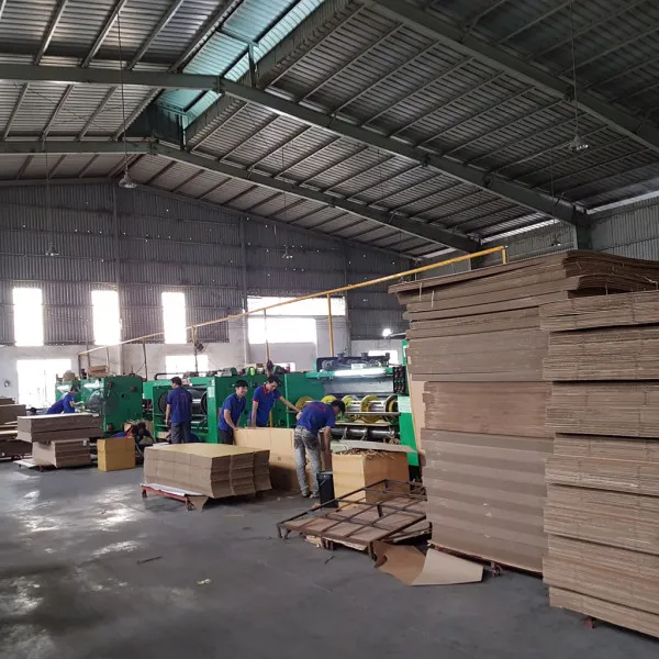 Sản phẩm 20161006_084638 600x600 — Công Ty TNHH Sản Xuất Bao Bì Vi Na Tài Lộc — MST 3701574470