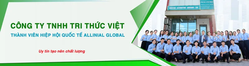 Sản phẩm 1 tritrucviet — Công Ty TNHH Tri Thức Việt - Thành Viên Của Allinial Global — MST 3701580837