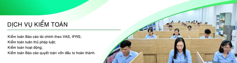 Sản phẩm 2 kiemtoan — Công Ty TNHH Tri Thức Việt - Thành Viên Của Allinial Global — MST 3701580837