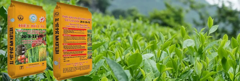 Sản phẩm CHE XANH1 — Công Ty TNHH Một Thành Viên Thương Mại Sản Xuất Việt Liên — MST 3701641871