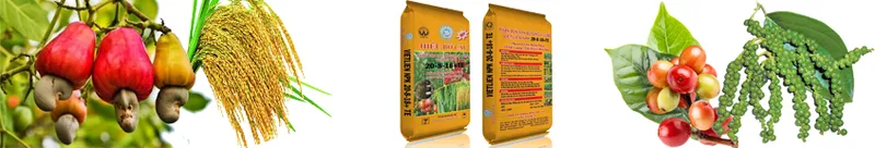 Sản phẩm HINH BACK — Công Ty TNHH Một Thành Viên Thương Mại Sản Xuất Việt Liên — MST 3701641871