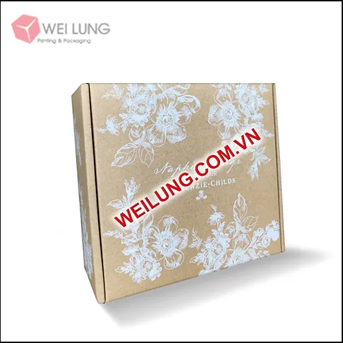 Sản phẩm hop giay kraft — Công Ty TNHH In Ấn Wei Lung — MST 3701771133