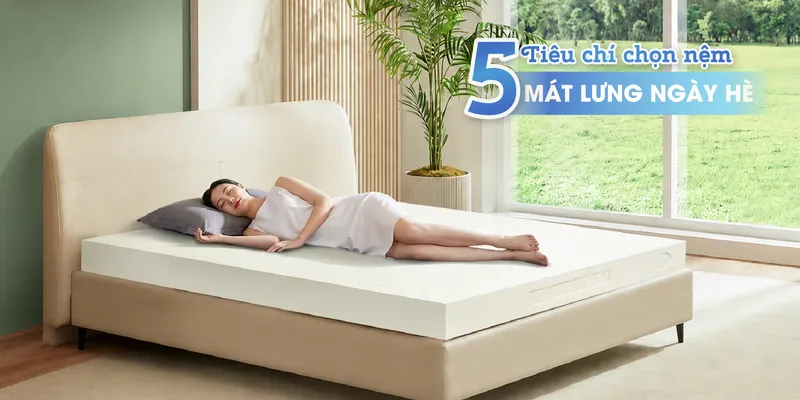 Sản phẩm web_36_thumbnail — Công Ty TNHH Tập Đoàn Nệm Kim Cương — MST 3701793200