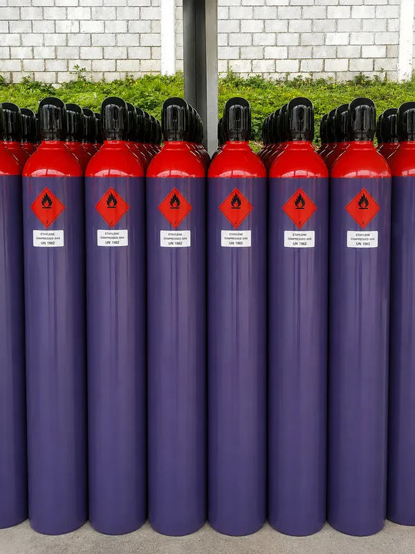 Sản phẩm ethyylen — Công Ty TNHH Sing Industrial Gas Việt Nam — MST 3701807975