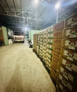 Sản phẩm z6167548292562_793c60c951e83ded7dfb5559d09dd035 247x296 — Vật Tư Cao Su Xuân Hồng - Công Ty TNHH Một Thành Viên Sản Xuất Thương Mại Dịch
Vụ Thanh Xuân Hồng — MST 3701852022
