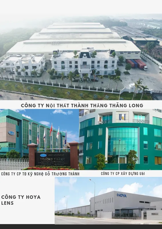 Sản phẩm roy dala hotel da lat — Công Ty TNHH Nội Thất Đô My — MST 3701880284