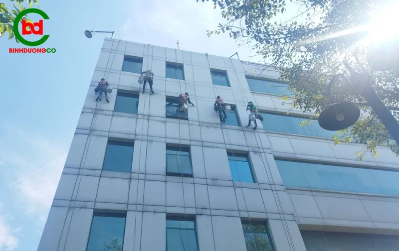 Sản phẩm lau kinh — Công Ty TNHH Anan Tech — MST 3701895629