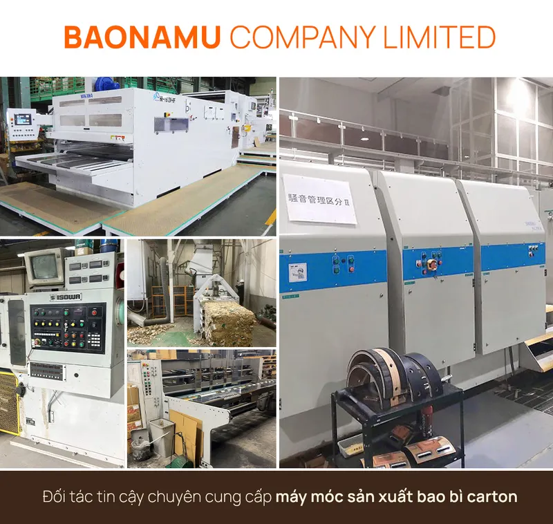 Sản phẩm intro — BAONAMU CO.,LTD — MST 3701902890