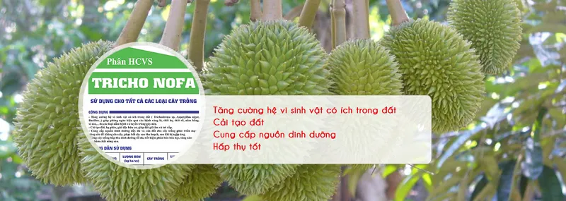 Sản phẩm 160367525615489_1349x480 — Công Ty TNHH Sản Xuất Thương Mại Và Dịch Vụ Nông Nguyên Phát — MST 3701977991