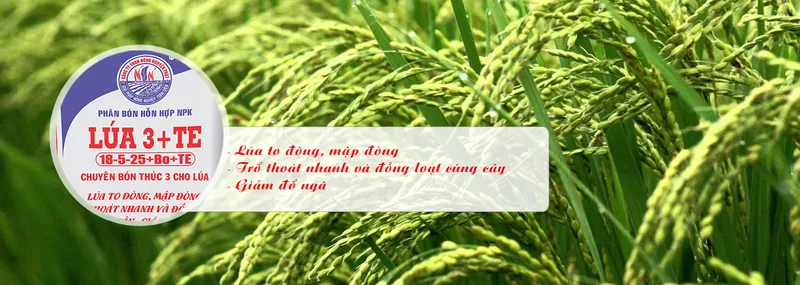 Sản phẩm 633764815839249_1349x480 — Công Ty TNHH Sản Xuất Thương Mại Và Dịch Vụ Nông Nguyên Phát — MST 3701977991