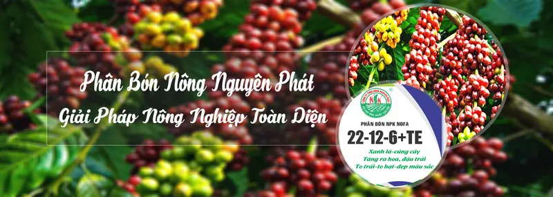Sản phẩm 759513012351685_1349x480 — Công Ty TNHH Sản Xuất Thương Mại Và Dịch Vụ Nông Nguyên Phát — MST 3701977991
