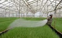 Sản phẩm nhakinh 7166_334x210 — Công Ty TNHH Sản Xuất Thương Mại Và Dịch Vụ Nông Nguyên Phát — MST 3701977991
