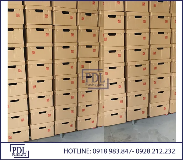 Sản phẩm Thung giay copy — Bao Bì Giấy Phan Đại Lợi - Công Ty TNHH Một Thành Viên Phan Đại Lợi — MST 3701996472