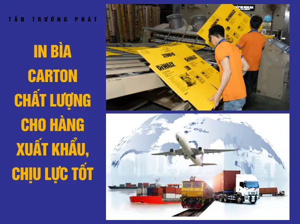 Sản phẩm In bia carton chat luong cho hang xuat khau chiu luc tot  — Bao Bì Tấn Trường Phát - Công Ty TNHH Bao Bì Tấn Trường Phát — MST 3702015669