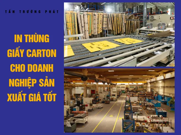 Sản phẩm In thung giay carton cho doanh nghiep san xuat gia tot 1 — Bao Bì Tấn Trường Phát - Công Ty TNHH Bao Bì Tấn Trường Phát — MST 3702015669