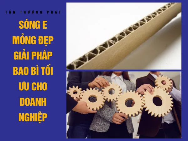 Sản phẩm Song E mong dep giai phap bao bi toi uu cho doanh nghiep — Bao Bì Tấn Trường Phát - Công Ty TNHH Bao Bì Tấn Trường Phát — MST 3702015669
