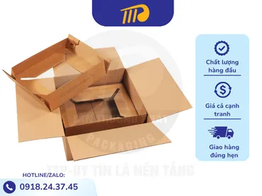 Sản phẩm Thung Carton Dien Tu — Bao Bì Tấn Trường Phát - Công Ty TNHH Bao Bì Tấn Trường Phát — MST 3702015669