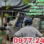 Sản phẩm 1 5444 — Vận Tải ánh Ngọc Phát - Công Ty TNHH Thương Mại Dịch Vụ ánh Ngọc Phát — MST 3702021768