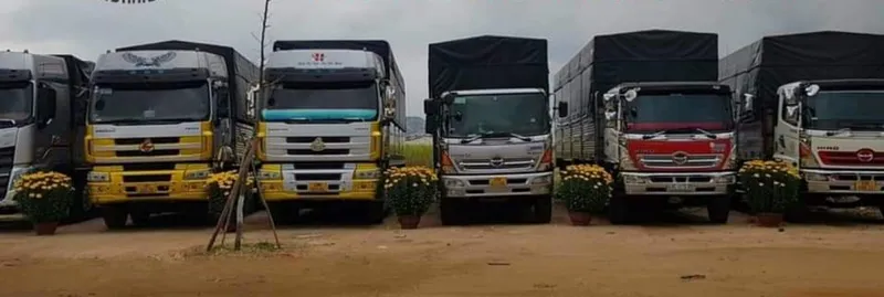 Sản phẩm z36856096665571b0698a31b009e77f55bb6e481021593 1849 — Vận Tải ánh Ngọc Phát - Công Ty TNHH Thương Mại Dịch Vụ ánh Ngọc Phát — MST 3702021768