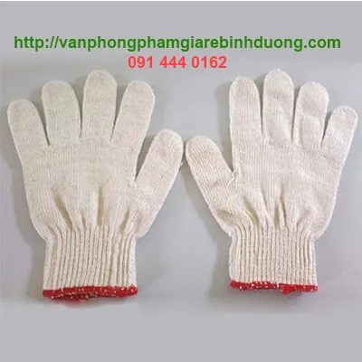 Sản phẩm Bao tay len trang 1 — Công Ty TNHH Đại Thành Quang Minh — MST 3702054298