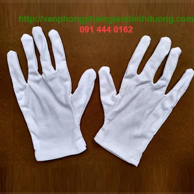 Sản phẩm bao tay vai coton trang 1 — Công Ty TNHH Đại Thành Quang Minh — MST 3702054298