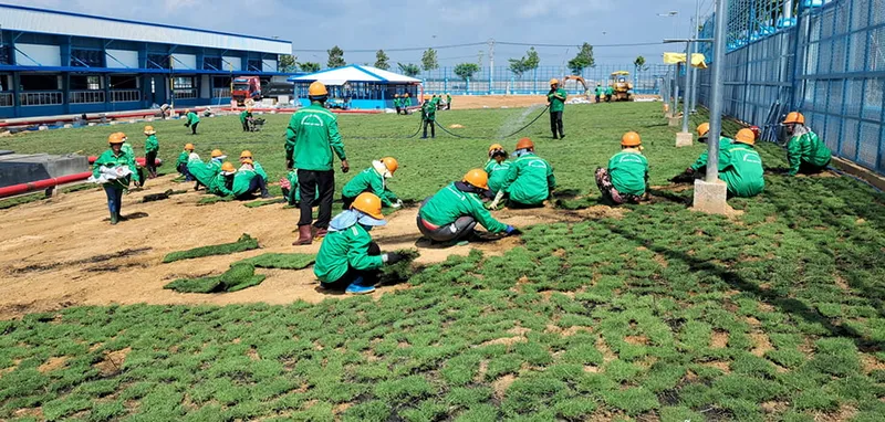Sản phẩm service 20 — Công Ty TNHH Thương Mại Dịch Vụ Cây Xanh Nguyễn Lê — MST 3702068660
