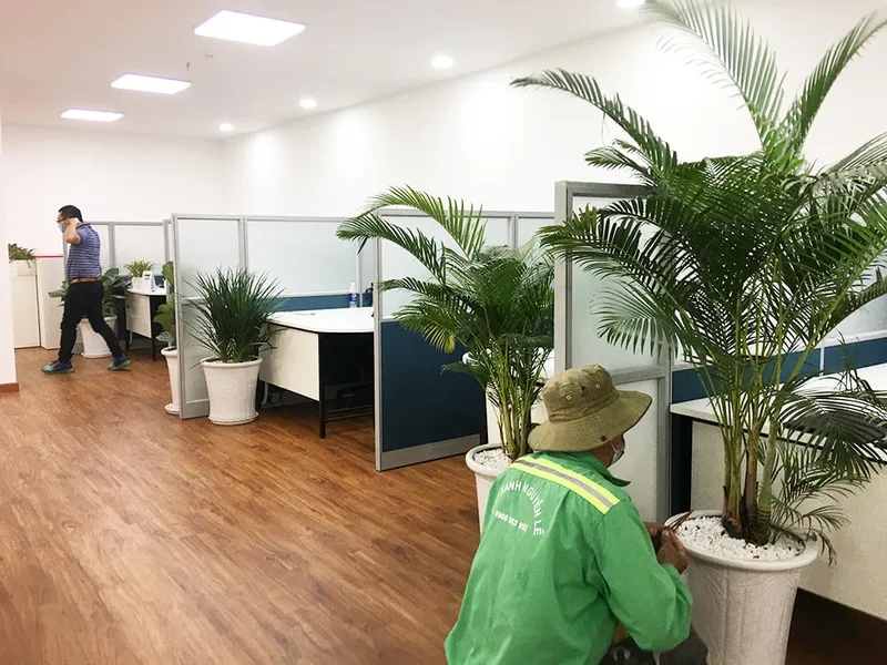 Sản phẩm service 23 — Công Ty TNHH Thương Mại Dịch Vụ Cây Xanh Nguyễn Lê — MST 3702068660