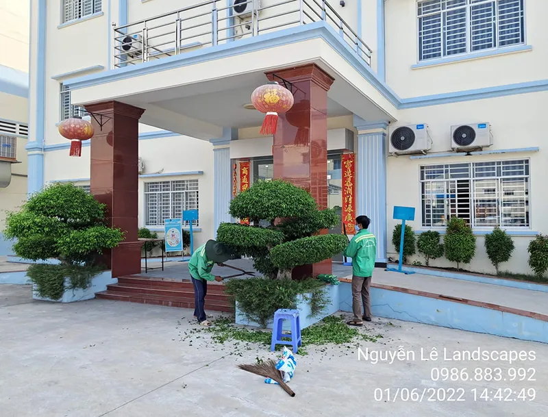 Sản phẩm service 24 — Công Ty TNHH Thương Mại Dịch Vụ Cây Xanh Nguyễn Lê — MST 3702068660