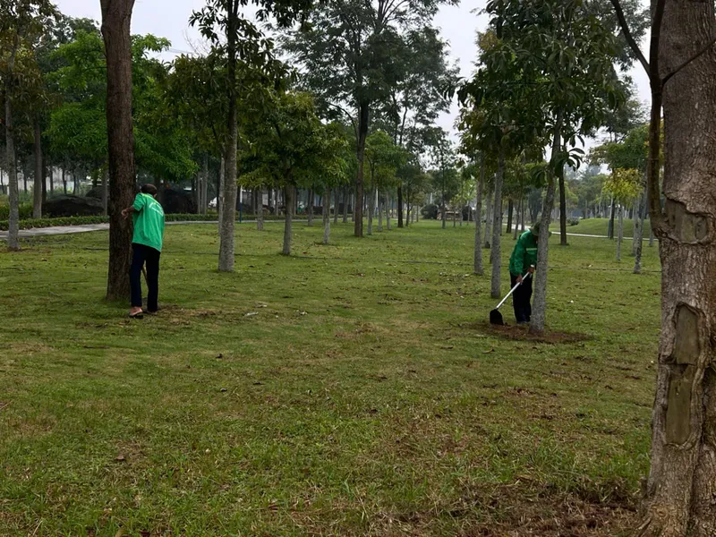 Sản phẩm z6842697842295_ff93cb45b52ec049bc5a035ca6f67762 — Công Ty TNHH Thương Mại Dịch Vụ Cây Xanh Nguyễn Lê — MST 3702068660