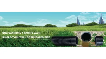 Sản phẩm z4884969270906_606303310f53c5a9750e875d6b35ace6 1243 — Công Ty Cổ Phần Tập Đoàn Trịnh Gia Tiến — MST 3702069840