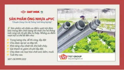 Sản phẩm z5228851050335_f80085edb737bdf48e3c8858ee9c2374 7217 — Công Ty Cổ Phần Tập Đoàn Trịnh Gia Tiến — MST 3702069840
