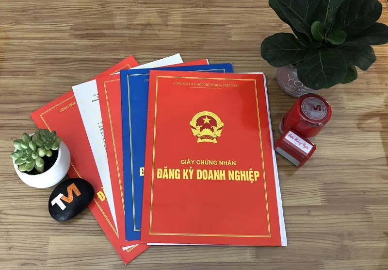 Văn phòng Tư Vấn Doanh Nghiệp Chuẩn Phát Mai Bình - Công Ty Cổ Phần Chuẩn Phát Mai Bình #? — MST 3702125206