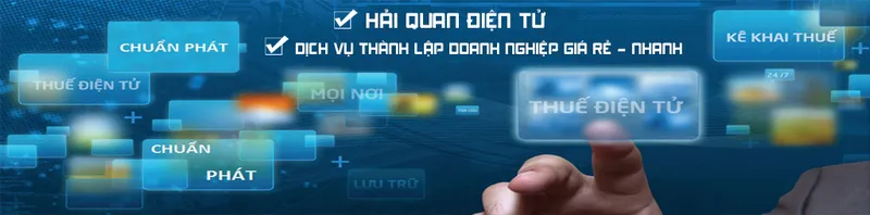Sản phẩm 0000223 — Tư Vấn Doanh Nghiệp Chuẩn Phát Mai Bình - Công Ty Cổ Phần Chuẩn Phát Mai Bình — MST 3702125206