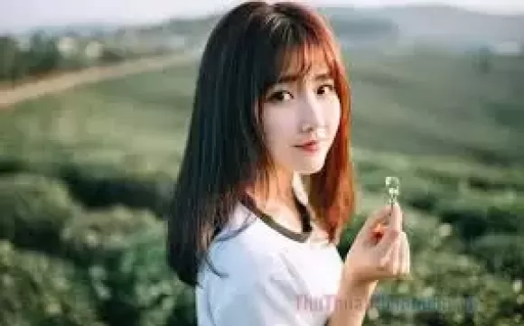 Sản phẩm images (9) — Điều Hòa Không Khí Tường Vy - Công Ty TNHH Một Thành Viên Điện Lạnh Tường Vy — MST 3702145964