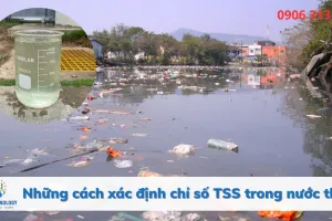 Sản phẩm web gpmt — Công Ty TNHH Kỹ Thuật Công Nghệ Đạt Hoàng Gia — MST 3702169926