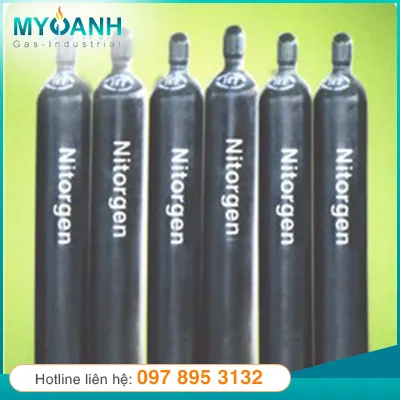 Sản phẩm khi nito 2 — Khí Công Nghiệp My Oanh - Công Ty TNHH Khí Công Nghiệp My Oanh — MST 3702172661