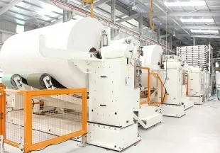 Sản phẩm nganhgiaynoilothieunguyenlieusanxuatdaunam20204189 3580_310x216 — Giấy In Thanh Huyền - Công Ty TNHH MTV Giấy Thanh Huyền — MST 3702195443